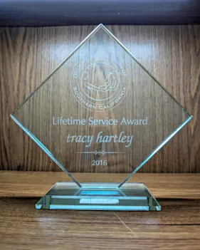 Lifetime Service 2017
